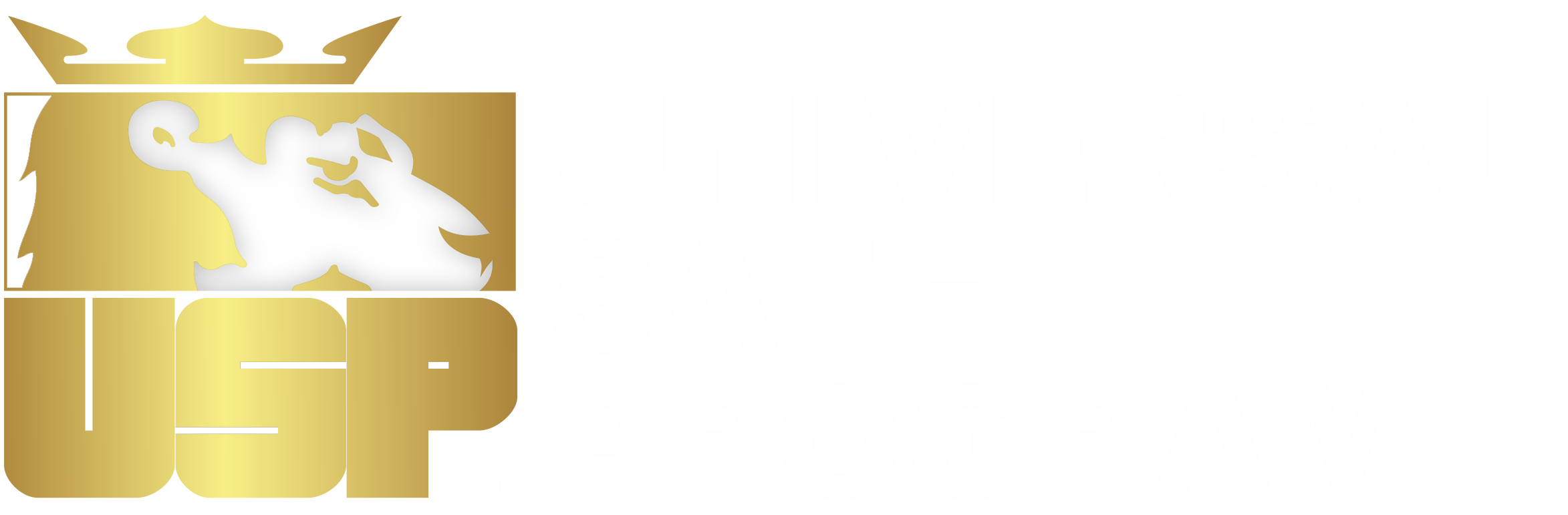 Universal Safety Program